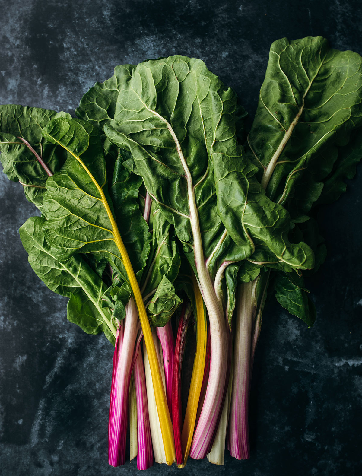 heather-barnes-ZGXhE1L7VL8-unsplash-web
